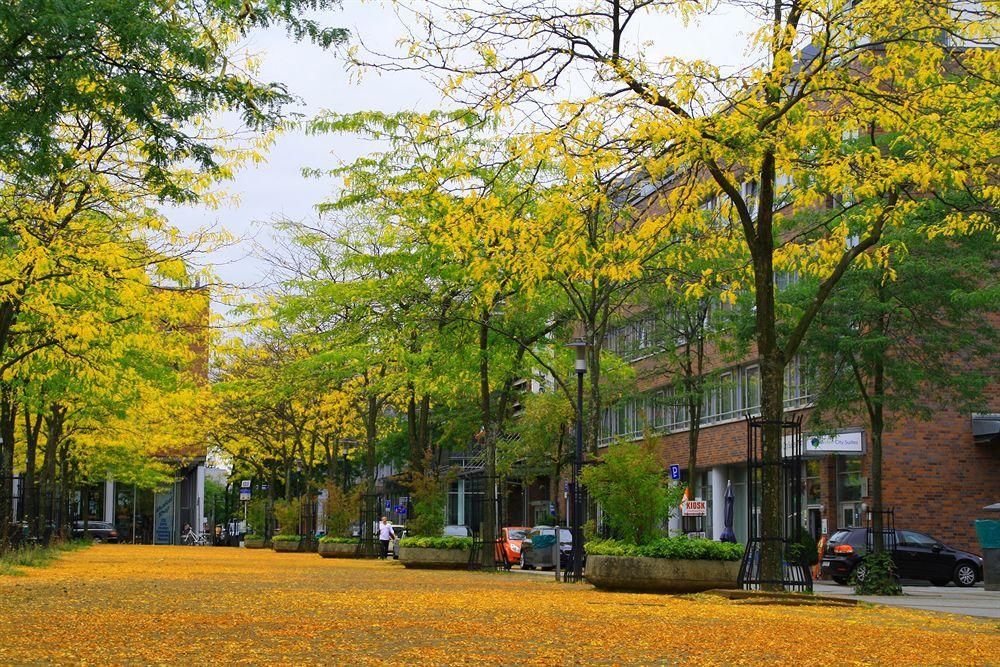 Essen City Suites ภายนอก รูปภาพ